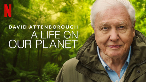 Xem Phim David Attenborough: Một cuộc đời trên Trái Đất