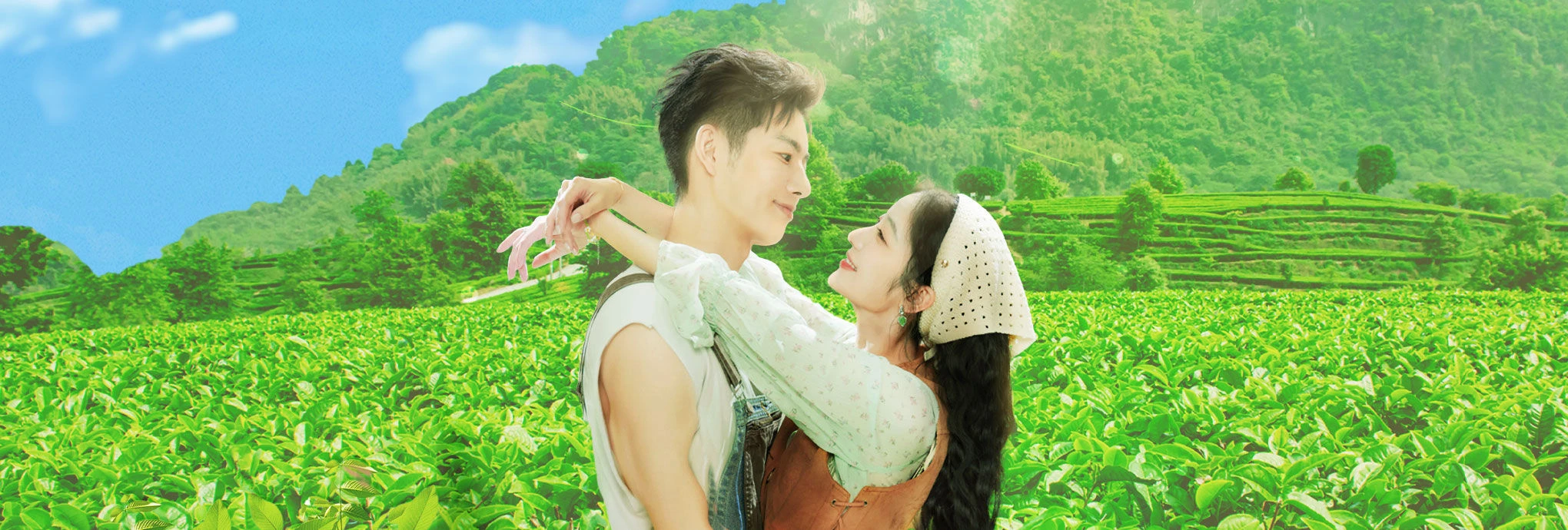 Xem Phim Đồi Trà Tình Yêu