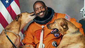 Phim Những chú chó (Phần 2) - Dogs (Season 2) (2021) Phim Những chú chó (Phần 2) - Dogs (Season 2) (2021)