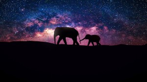 Phim Vũ trụ - Our Universe (2022) Phim Vũ trụ - Our Universe (2022)